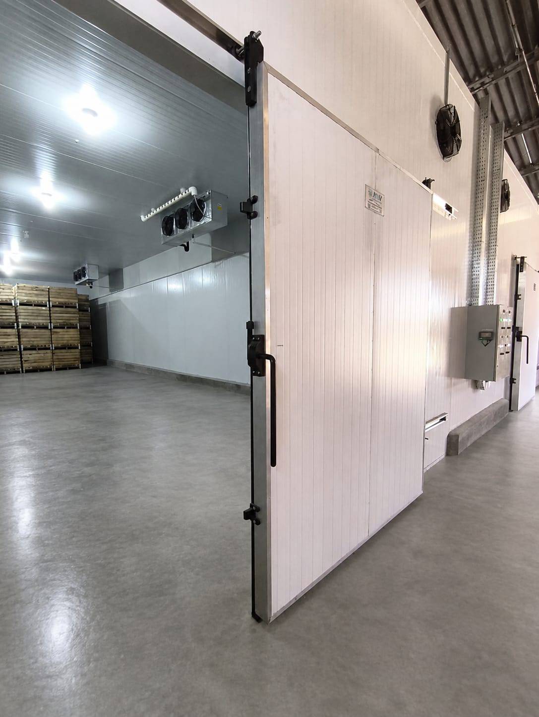 Interior de câmara frigorífica para conservação e armazenamento de sementes